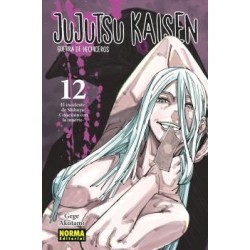JUJUTSU KAISEN Nº 12