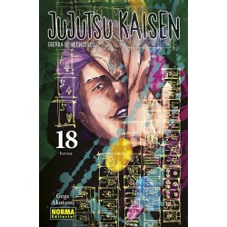 JUJUTSU KAISEN Nº 18