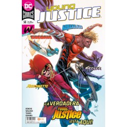 YOUNG JUSTICE Nº 14